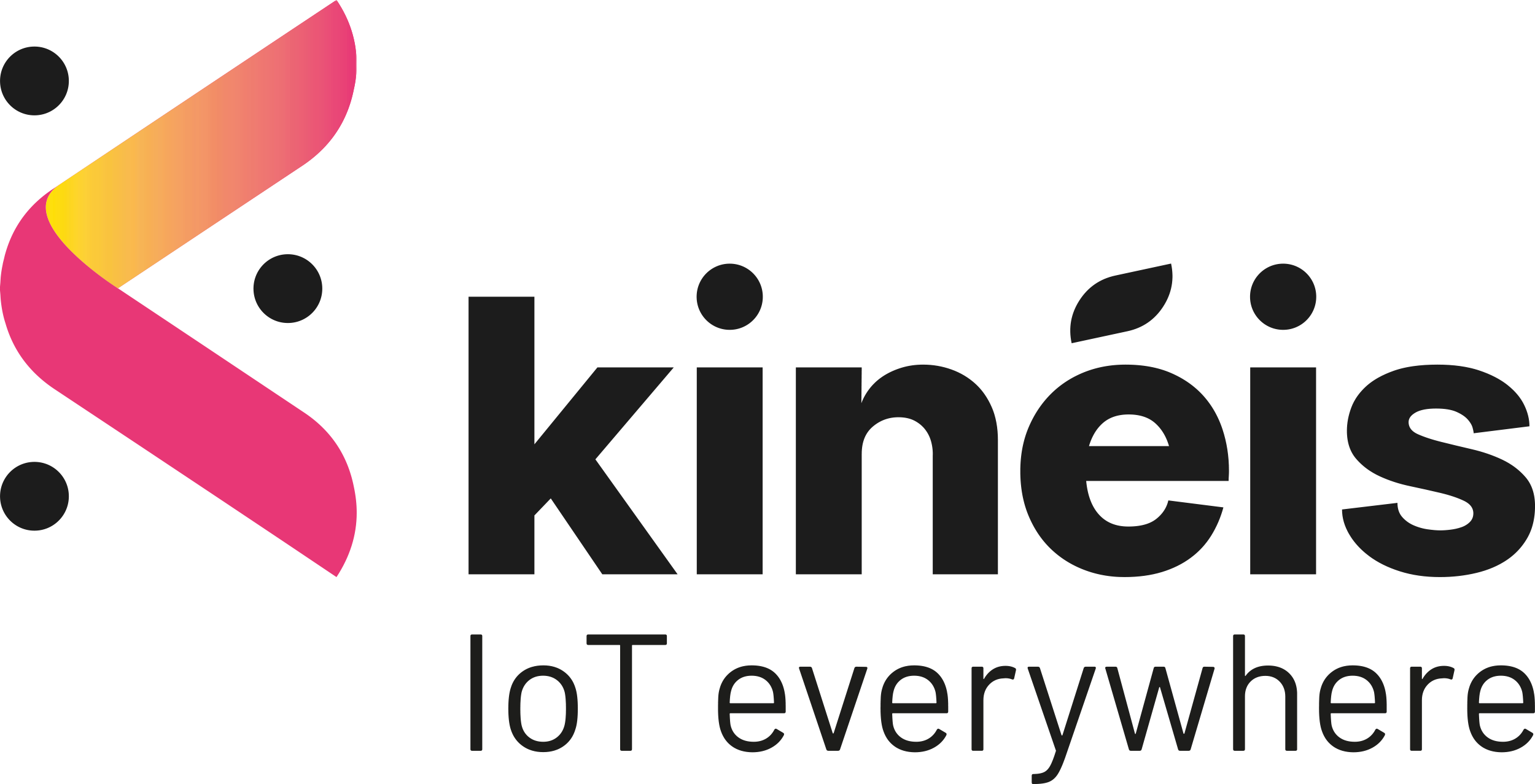 Logo Kineis Quadri Baseline